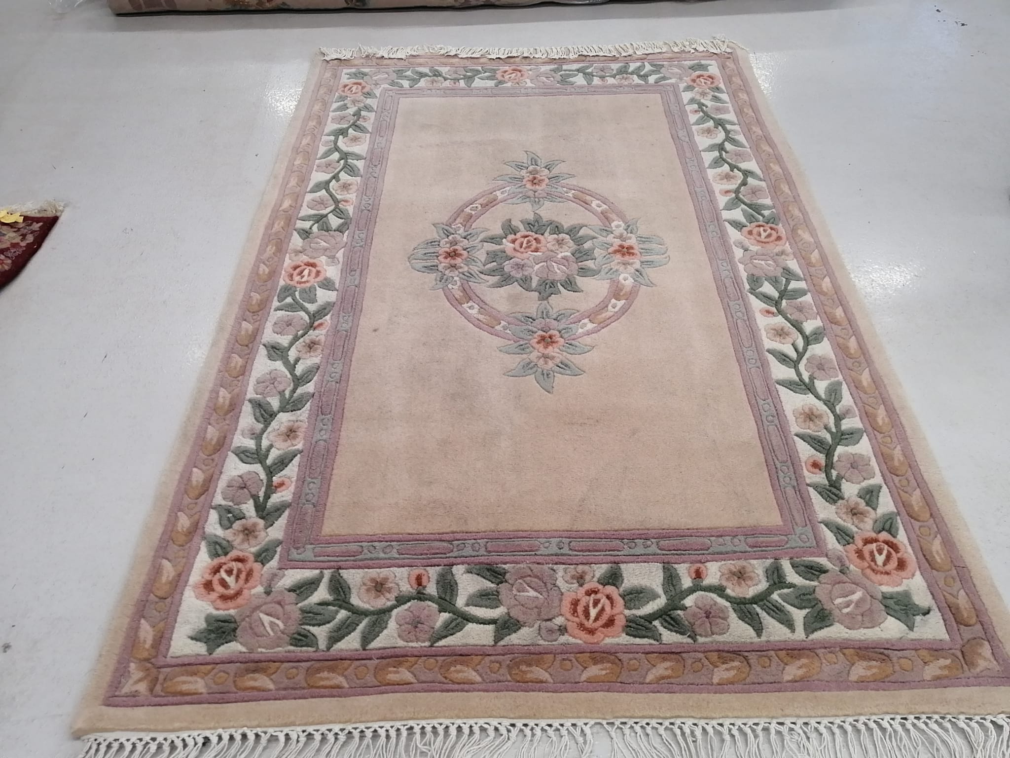 Area rug before cleaning